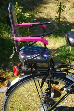 Vechteaue-Kinderradsitz-small.jpg